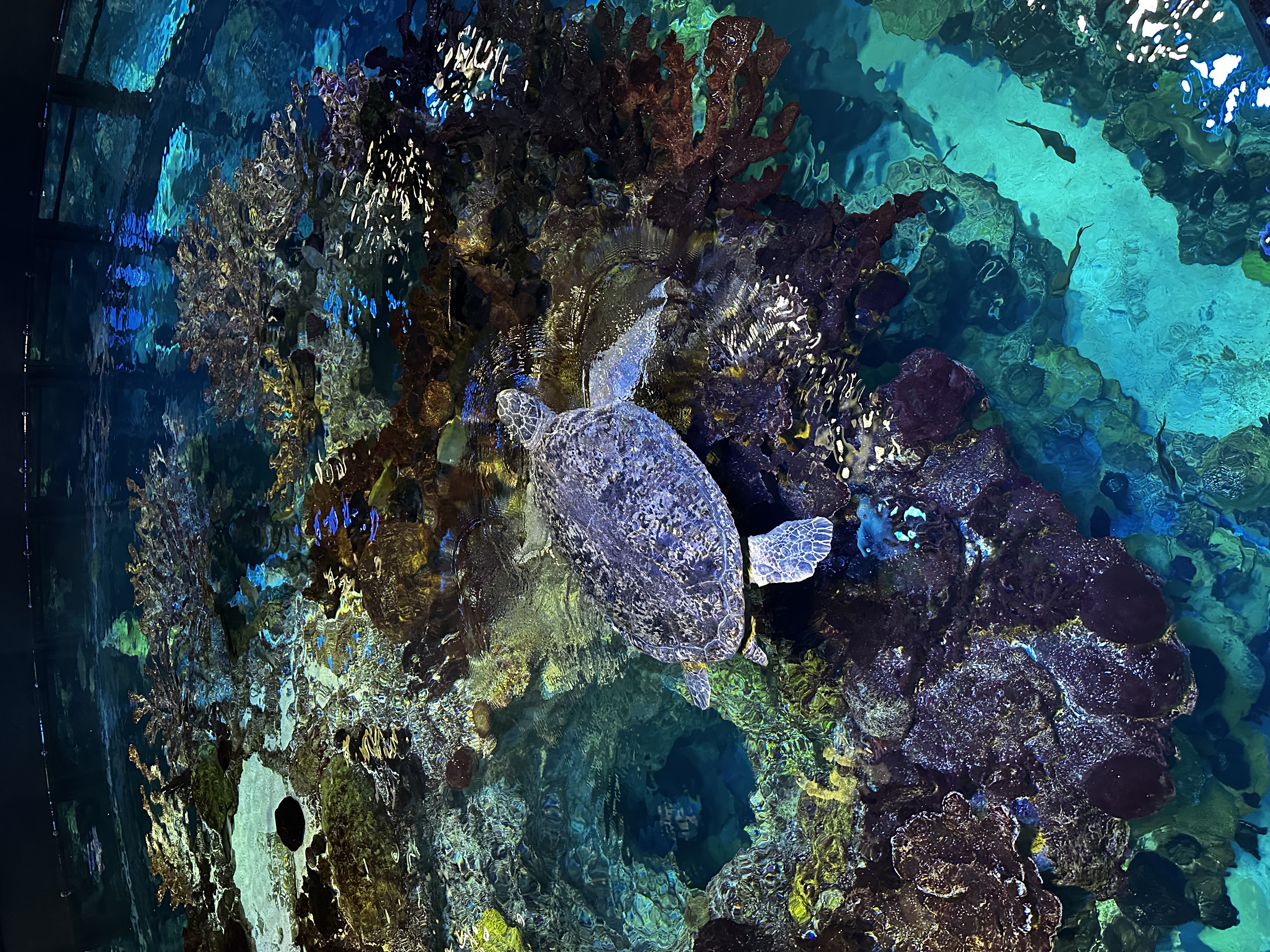 Centered photo